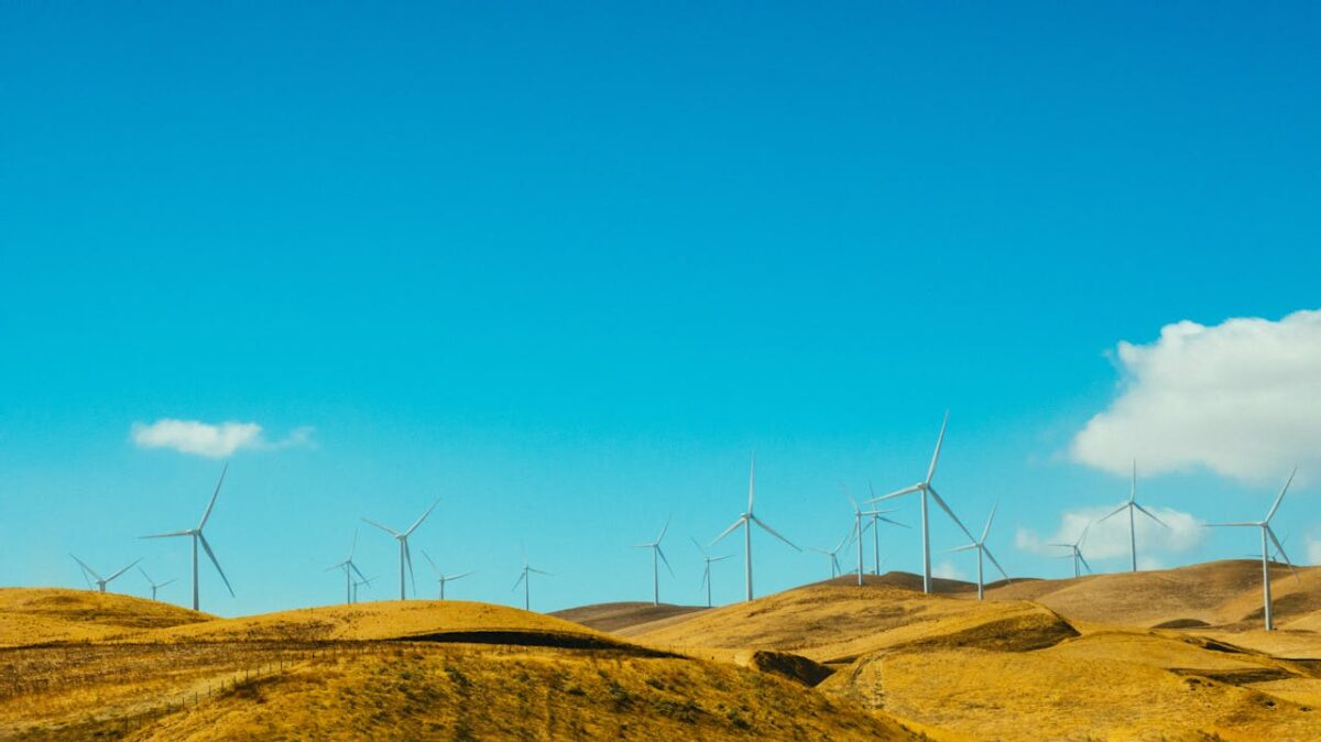 What Are The Differences Between Renewable and Non-Renewable Energy Sources?